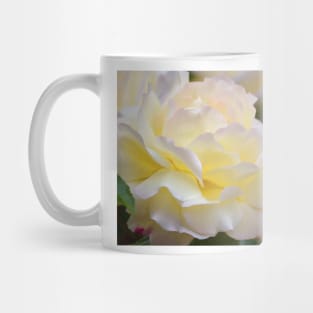 Rose 273 Mug